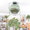 Koyoto Plafondlamp, Kogellampje 12 cm Groen, 1-licht