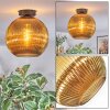 Koyoto Plafondlamp, Kogellampje 12 cm Goud, 1-licht