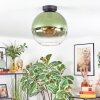 Koyoto Plafondlamp, Kogellampje 12 cm Groen, Duidelijk, 1-licht