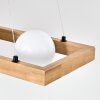 Zanin Hanglamp, Hanglamp Natuurlijke kleuren, Zwart, 4-lichts