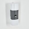 Felor Wandlamp voor buiten, Licht omhoog & omlaag, Wandlamp LED Antraciet, 2-lichts, Bewegingsmelder