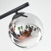Koyoto Plafondlamp, Kogellampje Chroom, Duidelijk, Rookkleurig, 4-lichts