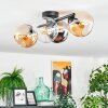 Koyoto Plafondlamp, Kogellampje Amber, Chroom, Duidelijk, Rookkleurig, 4-lichts