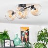 Koyoto Plafondlamp, Kogellampje Amber, Duidelijk, 4-lichts