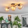 Koyoto Plafondlamp, Kogellampje Amber, Duidelijk, 4-lichts
