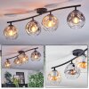 Ripoll Plafondlamp, Kogellampje Amber, Duidelijk, Rookkleurig, 4-lichts