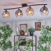 Ripoll Plafondlamp, Kogellampje Amber, Duidelijk, Rookkleurig, 4-lichts