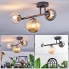 Chehalis Plafondlamp, Kogellampje Amber, Duidelijk, Rookkleurig, 3-lichts