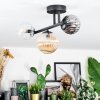 Chehalis Plafondlamp, Kogellampje Amber, Duidelijk, Rookkleurig, 3-lichts