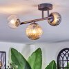 Chehalis Plafondlamp, Kogellampje Amber, Duidelijk, Rookkleurig, 3-lichts
