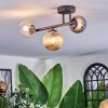 Chehalis Plafondlamp, Kogellampje Amber, Duidelijk, Rookkleurig, 3-lichts