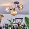 Chehalis Plafondlamp, Kogellampje Amber, Duidelijk, Rookkleurig, 3-lichts