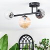 Chehalis Plafondlamp, Kogellampje Amber, Duidelijk, Rookkleurig, 3-lichts
