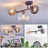 Chehalis Plafondlamp, Kogellampje Amber, Duidelijk, Rookkleurig, 3-lichts