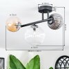 Chehalis Plafondlamp, Kogellampje Amber, Duidelijk, Rookkleurig, 3-lichts