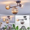 Chehalis Plafondlamp, Kogellampje Amber, Duidelijk, Rookkleurig, 3-lichts
