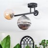 Chehalis Plafondlamp, Kogellampje Amber, Duidelijk, Rookkleurig, 3-lichts