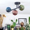 Chehalis Plafondlamp, Kogellampje Blauw, Groen, Koperkleurig, 3-lichts