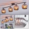 Ripoll Plafondlamp, Kogellampje Rookkleurig, 4-lichts