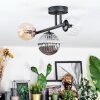 Chehalis Plafondlamp, Kogellampje Amber, Duidelijk, Rookkleurig, 3-lichts