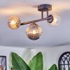 Chehalis Plafondlamp, Kogellampje Amber, Duidelijk, Rookkleurig, 3-lichts