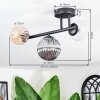 Chehalis Plafondlamp, Kogellampje Amber, Duidelijk, Rookkleurig, 3-lichts