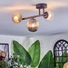 Chehalis Plafondlamp, Kogellampje Amber, Duidelijk, Rookkleurig, 3-lichts