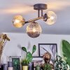 Chehalis Plafondlamp, Kogellampje Amber, Duidelijk, Rookkleurig, 3-lichts