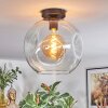 Ripoll Plafondlamp, Kogellampje Duidelijk, 1-licht