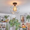 Ripoll Plafondlamp, Kogellampje Duidelijk, 1-licht