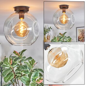 Ripoll Plafondlamp, Kogellampje Duidelijk, 1-licht