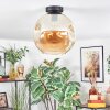 Ripoll Plafondlamp, Kogellampje Amber, 1-licht