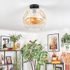 Ripoll Plafondlamp, Kogellampje Amber, Duidelijk, 1-licht