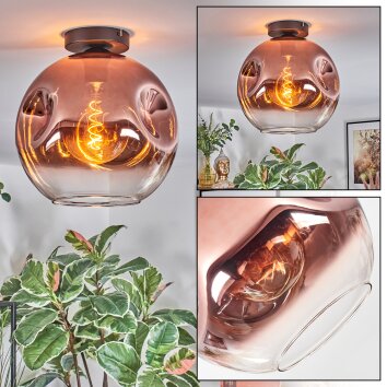 Ripoll Plafondlamp, Kogellampje Duidelijk, Koperkleurig, 1-licht