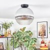 Koyoto Plafondlamp, Kogellampje 30 cm Duidelijk, Rookkleurig, 1-licht