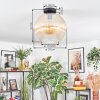 Koyoto Plafondlamp, Kogellampje 30 cm Amber, Duidelijk, 1-licht