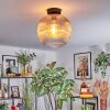Koyoto Plafondlamp, Kogellampje 30 cm Amber, Duidelijk, 1-licht