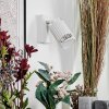 Fenik Wandlamp, Muurspot Wit, 1-licht