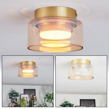 Folar Plafondlamp LED Goud, 1-licht