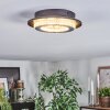 Lidor Plafondlamp LED Grijs, Zwart, 1-licht