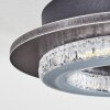 Lidor Plafondlamp LED Grijs, Zwart, 1-licht