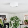 Falor Plafondlamp LED Wit, 1-licht
