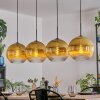 Koyoto Hanglamp, Kogellampje, Hanglamp Goud, Duidelijk, 4-lichts