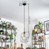 Koyoto Hanglamp, Kogellampje, Hanglamp Duidelijk, 1-licht