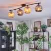 Ripoll Plafondlamp, Kogellampje Amber, Rookkleurig, 4-lichts