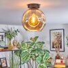 Ripoll Plafondlamp, Kogellampje Amber, 1-licht