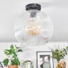 Ripoll Plafondlamp, Kogellampje Duidelijk, 1-licht