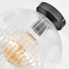 Ripoll Plafondlamp, Kogellampje Duidelijk, 1-licht