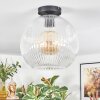 Ripoll Plafondlamp, Kogellampje Duidelijk, 1-licht