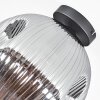 Ripoll Plafondlamp, Kogellampje Rookkleurig, 1-licht